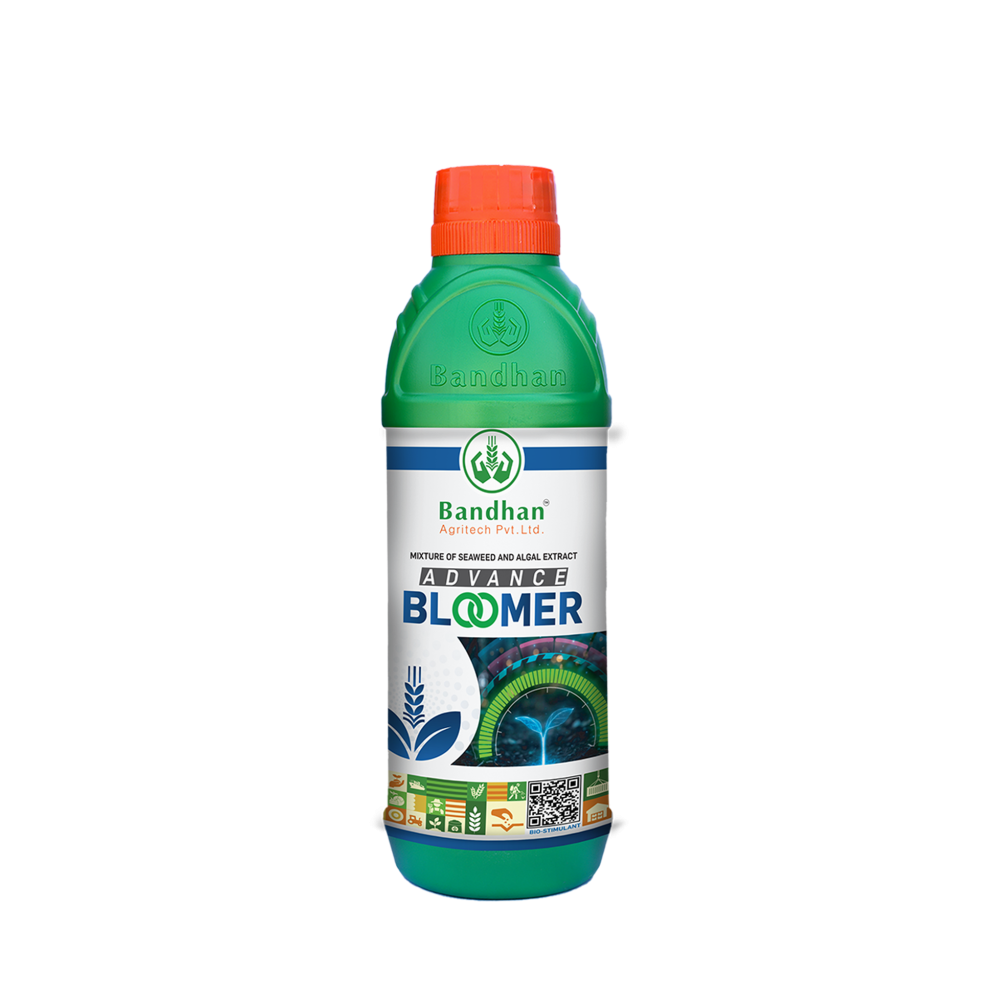 Advance Bloomer 500ml