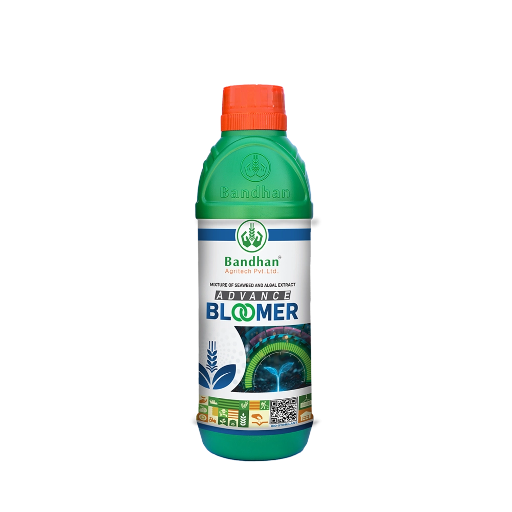 Advance Bloomer 500ml