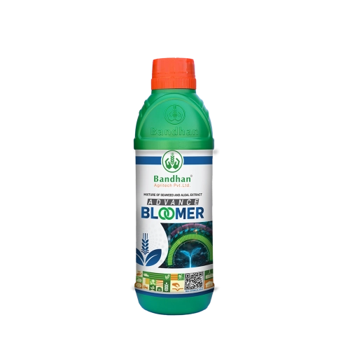 Advance Bloomer 500ml