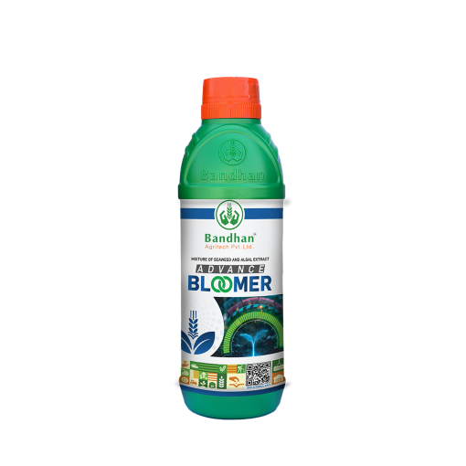 Advance Bloomer 500ml
