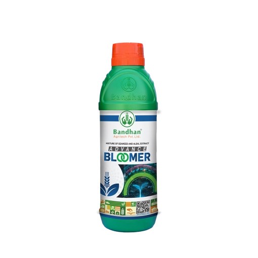Advance Bloomer 500ml