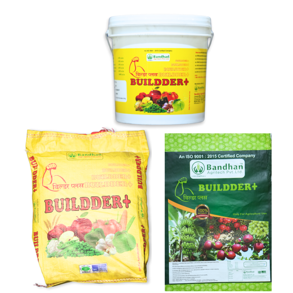 Builder + Bucket 10KG