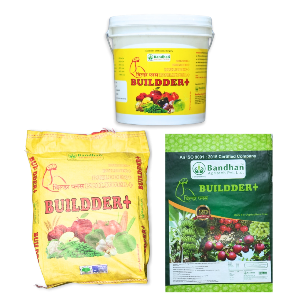 Builder + Bucket 10KG