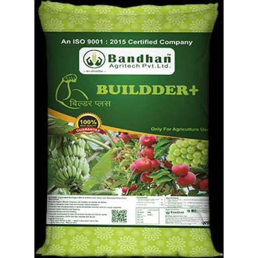 BUILDER + 25kg