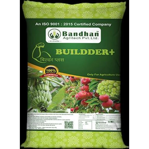 BUILDER + 25kg