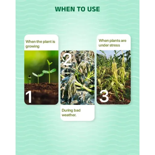 BIO VITA
