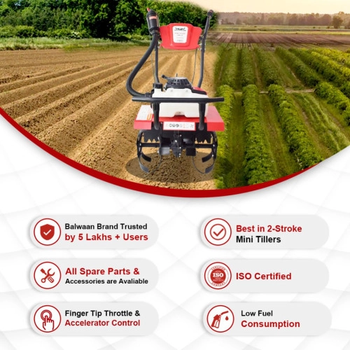 Power Weeder-BW-25