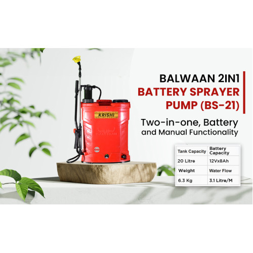 (BS- 21) 2IN1