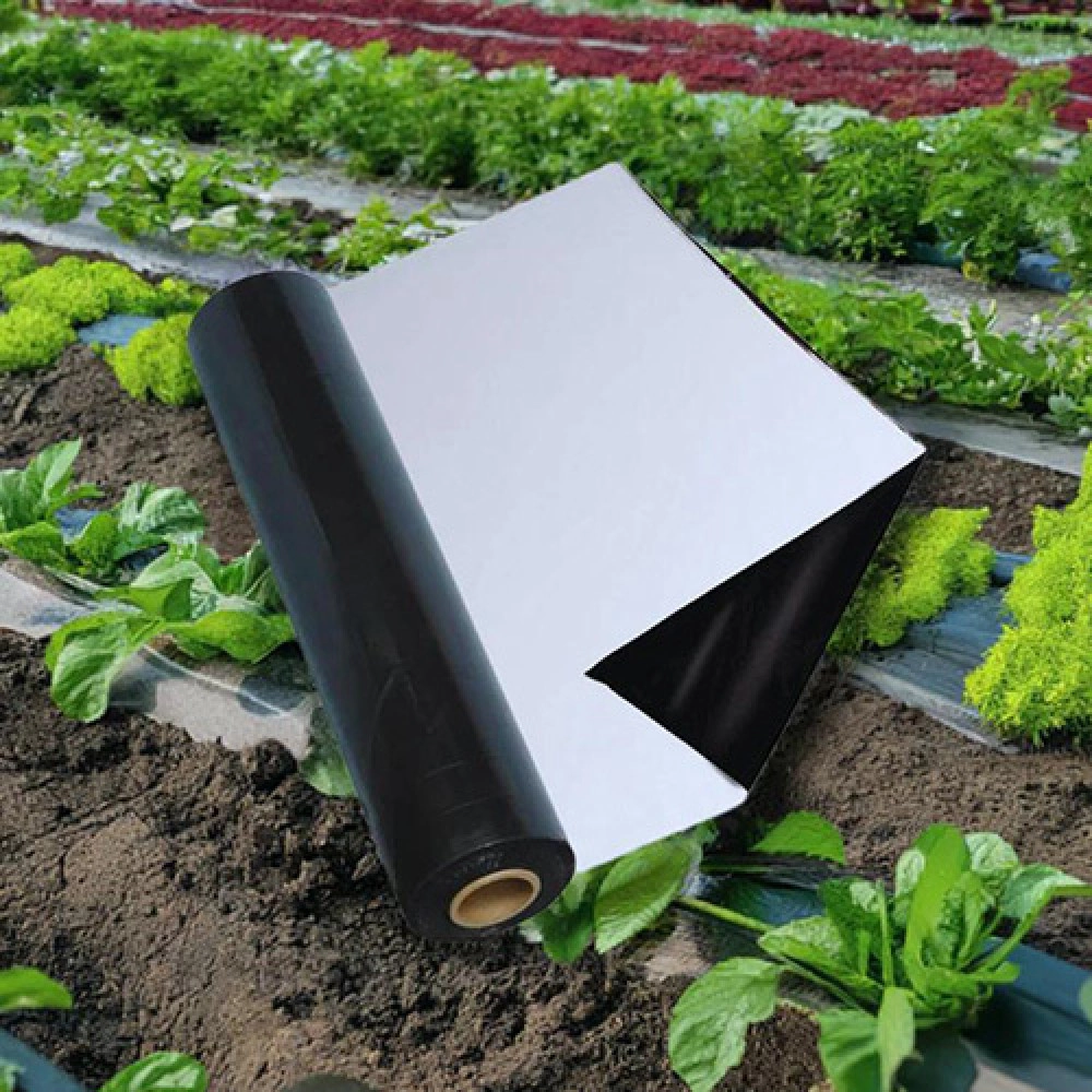 AGRI KING MULCHING FILM (30*30,800 mtr)