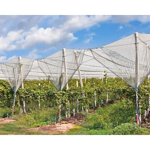 Anti Hail Net (8*30 Sq. meter)