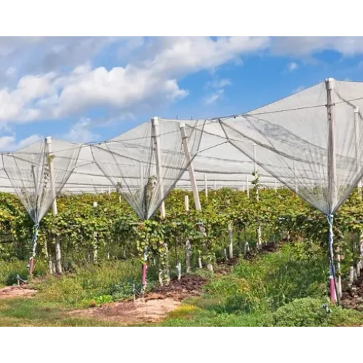 Anti Hail Net (8*30 Sq. meter)