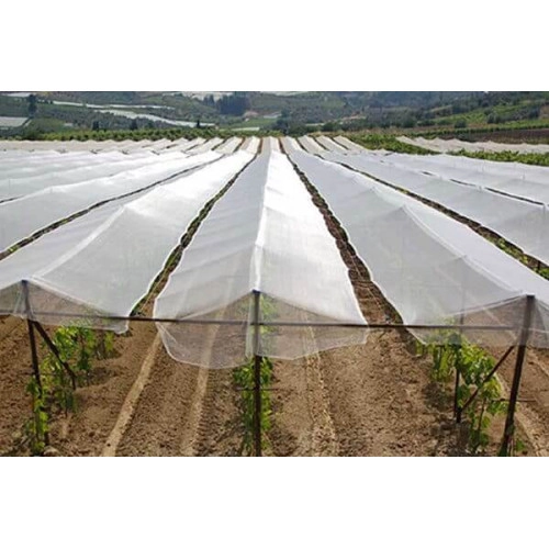 Anti Hail Net (8*30 Sq. meter)