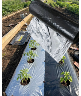 AGRI KING MULCHING FILM (39*20,400 mtr)