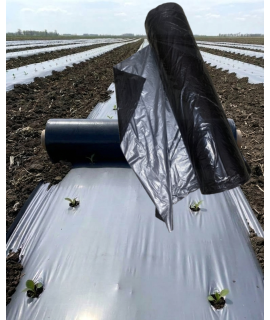 AGRI KING MULCHING FILM (30*20,800mtr)