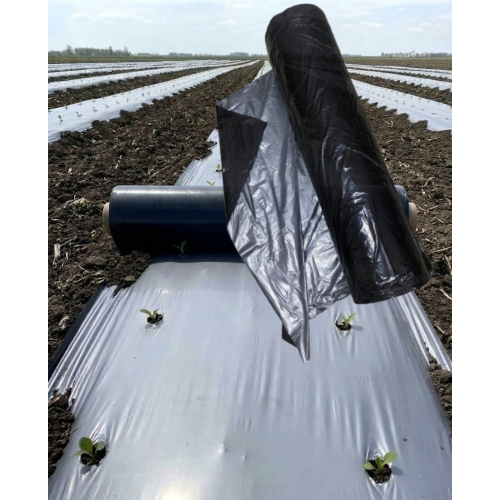 AGRI KING MULCHING FILM (30*20,800mtr)