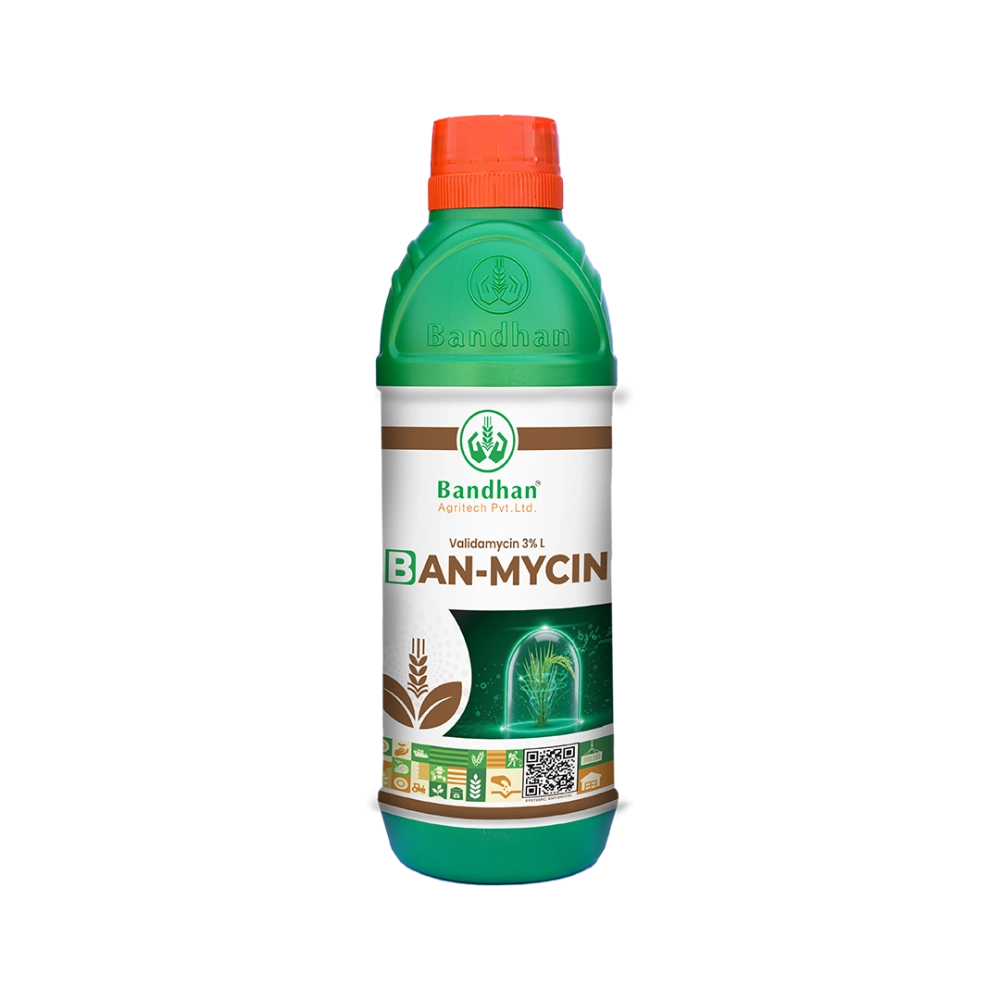 Ban-mycin (250ml)