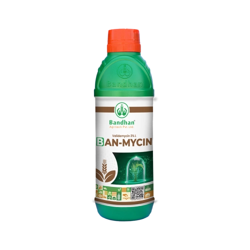 Ban-mycin (250ml)