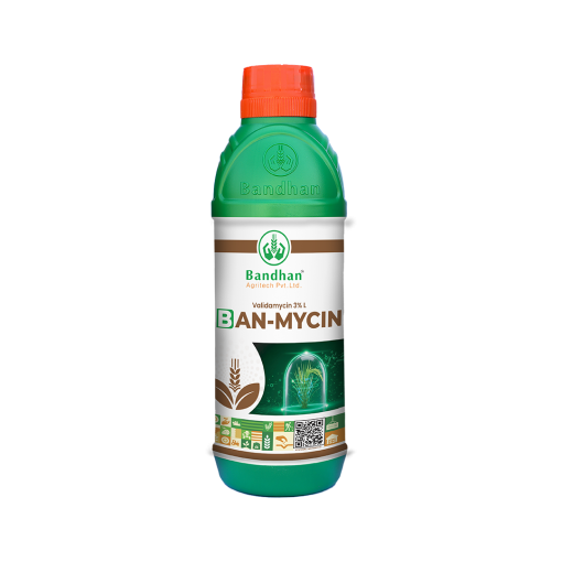 Ban-mycin (250ml)