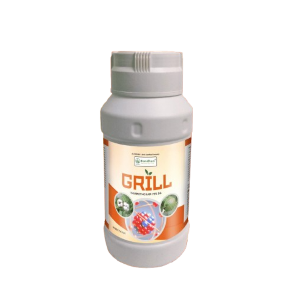 Grill- 100Gm