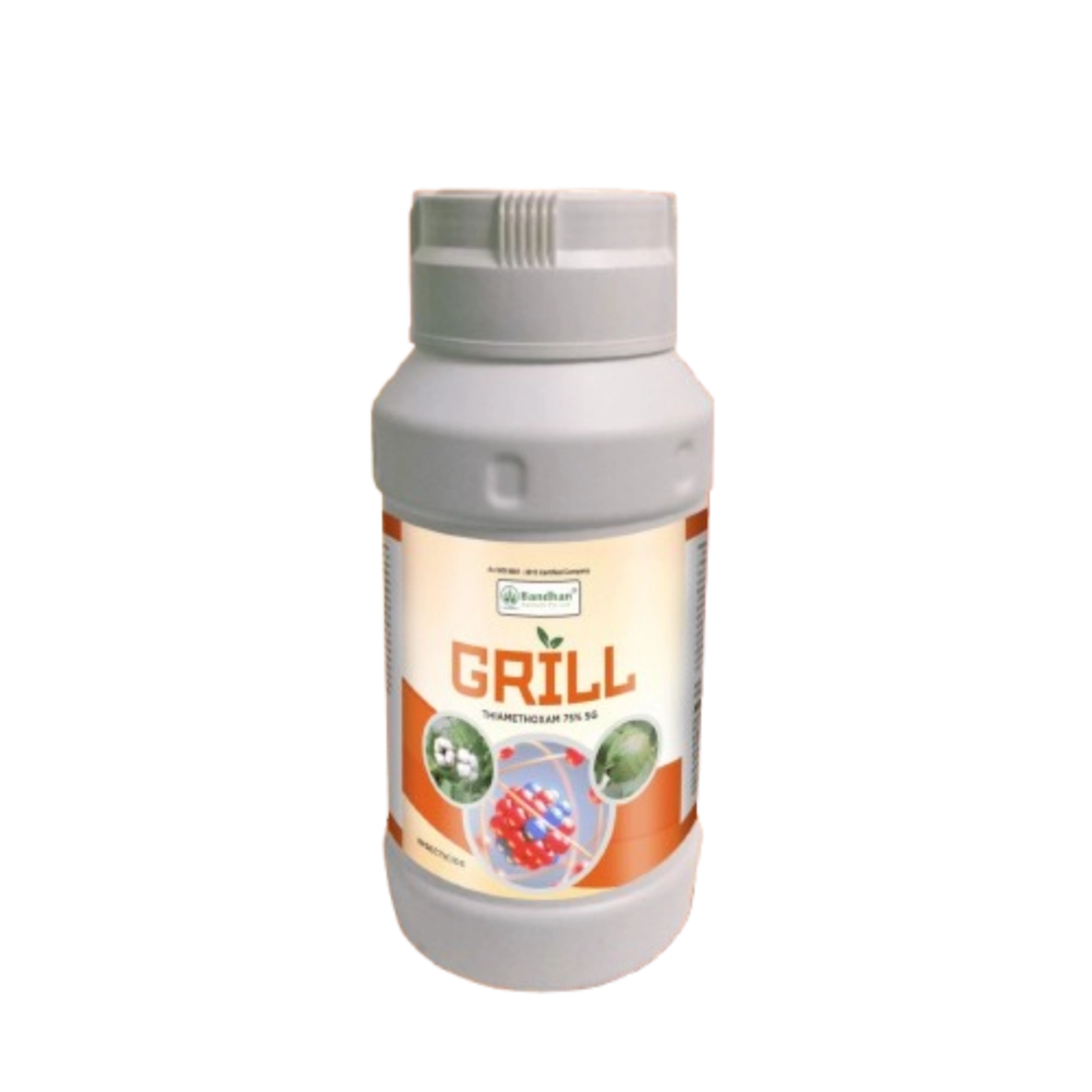Grill- 100Gm