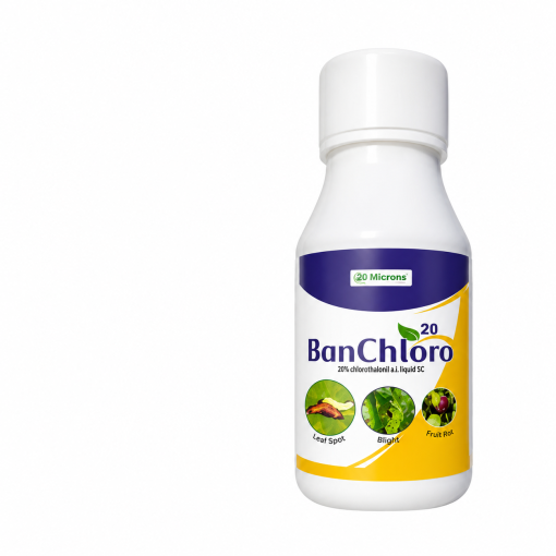 BANCHLORO 250ml