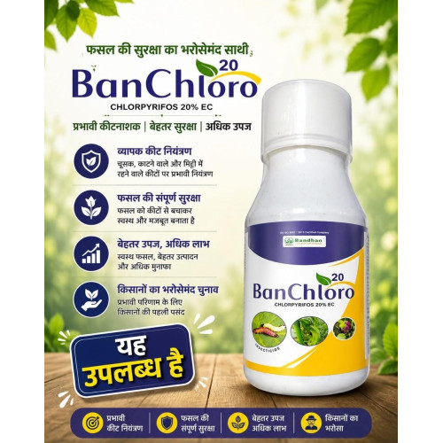 BANCHLORO 250ml