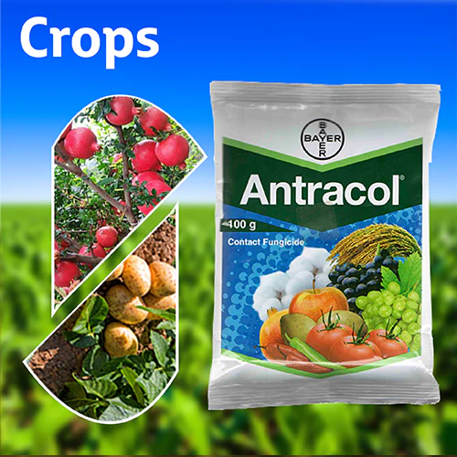 ANTRACOL
