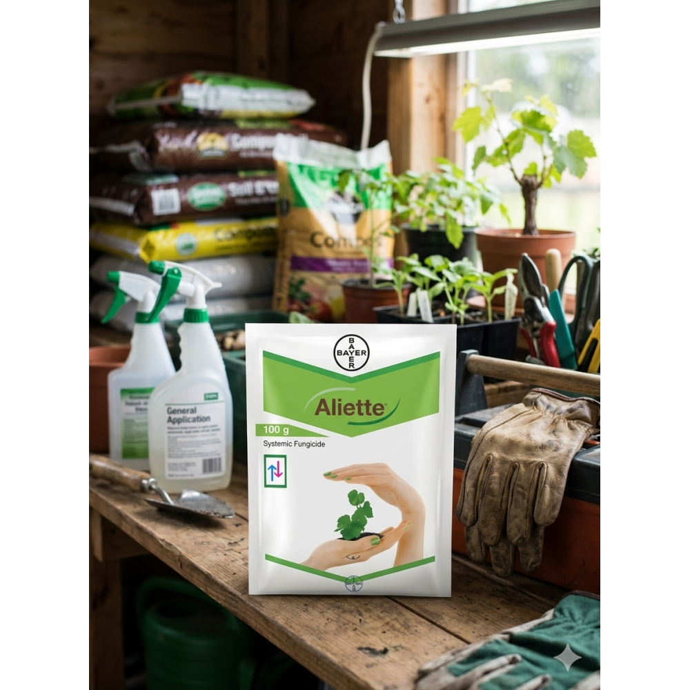 ALIETTE 100gm