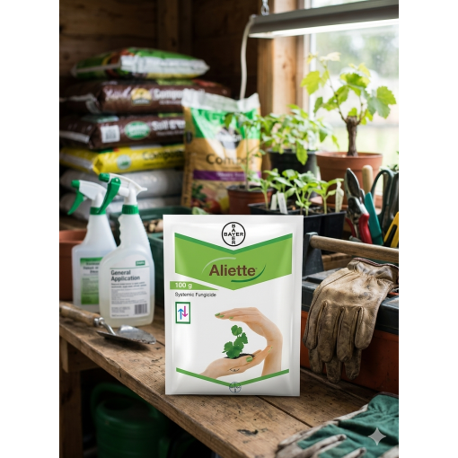 ALIETTE 100gm