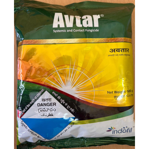 AVTAR 500gm