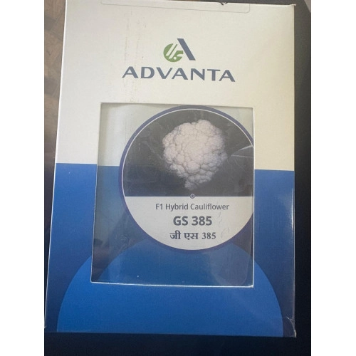 Cauliflower ( Golden 385)