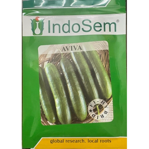 Cucumber Seedless (Aviva)