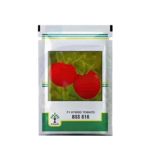 BSS 816 (F1 HYBRID TOMATO)