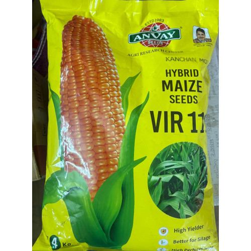 Corn-Maize (Kanchan Moti)
