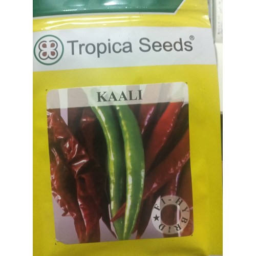 CHILLI KAALI 10GM