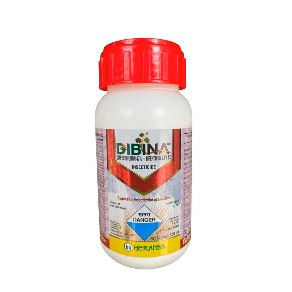 DIBINA