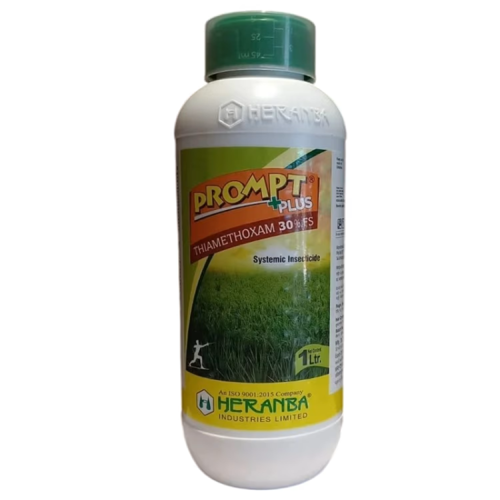 PROMPT PLUS