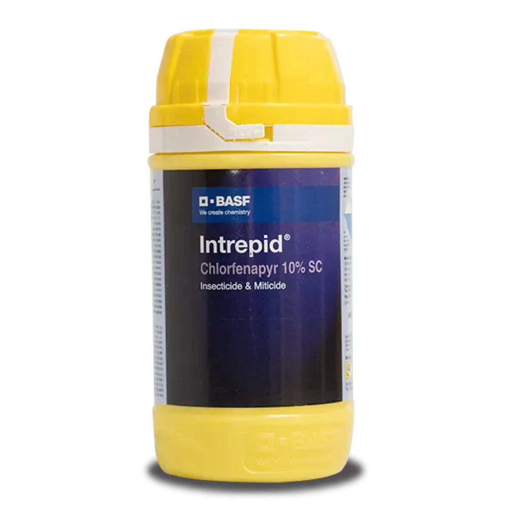 Intrepid Insecticide
