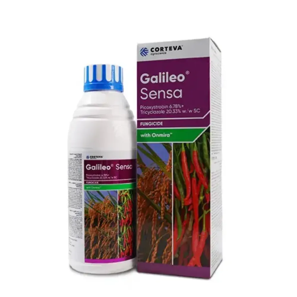Galileo Sensa