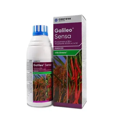 Galileo Sensa