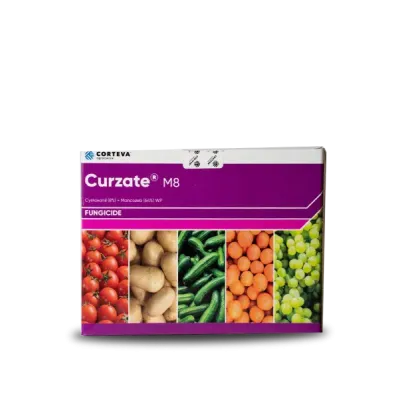 CURZATE FUNGICIDE (CYMOXANIL 8% + MANCOZED 64% WP)