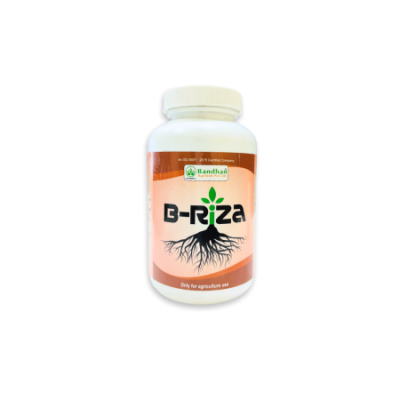 B RIZA 100 GM
