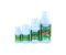 BLOOMER 5 LTR