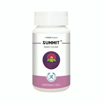 Summit