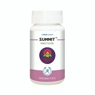 Summit