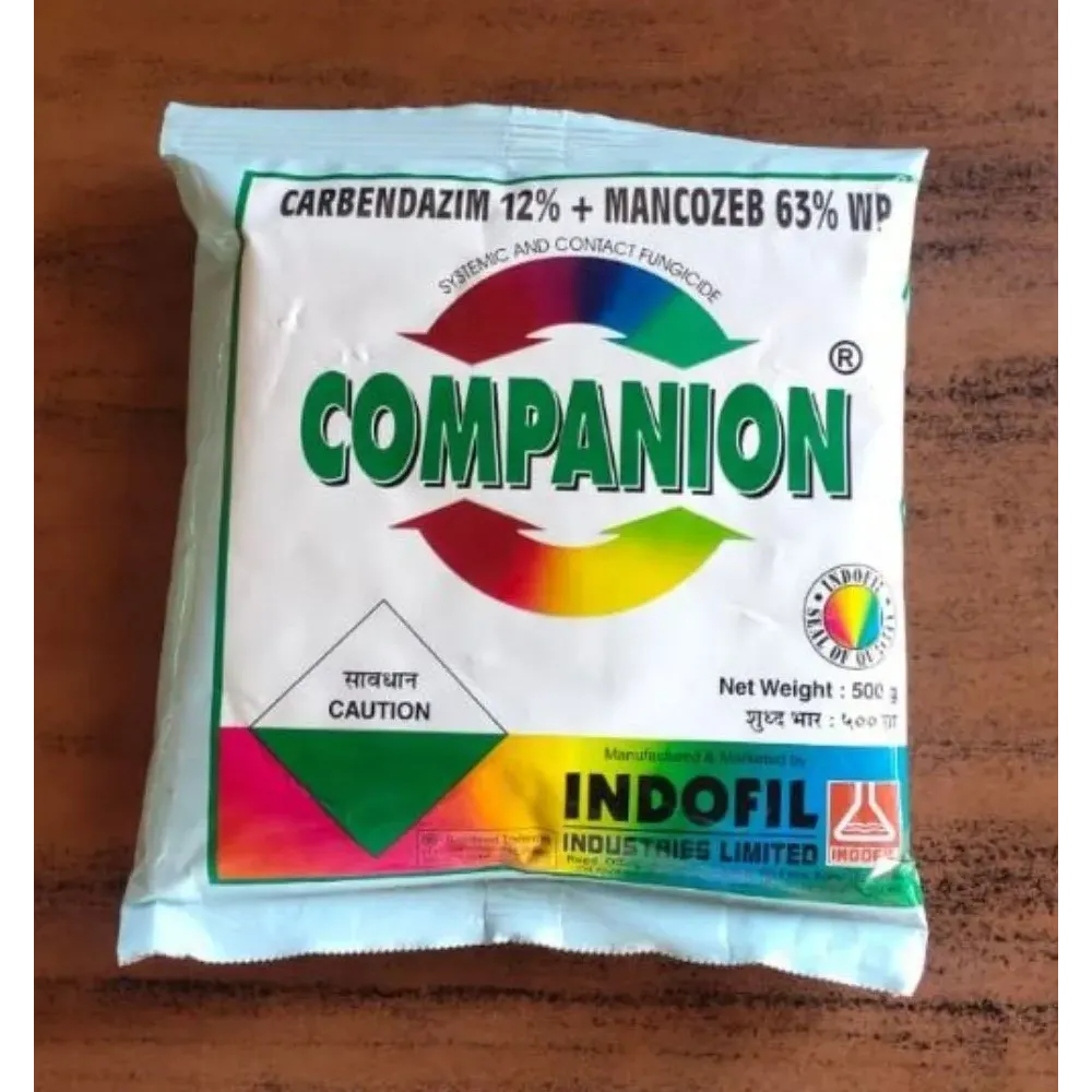 COMPANION