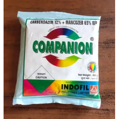 COMPANION