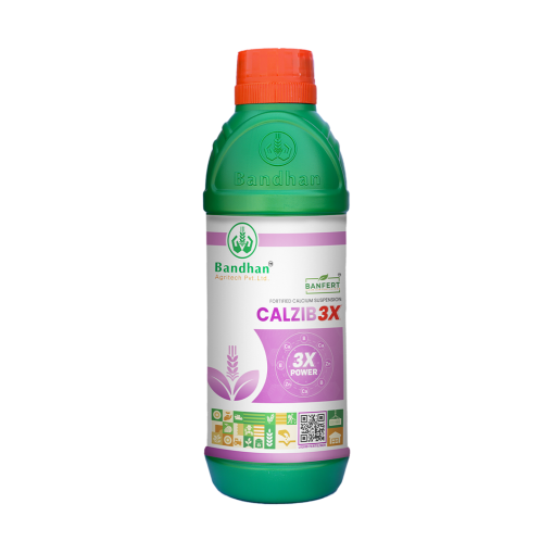 Calzib3X 500ml