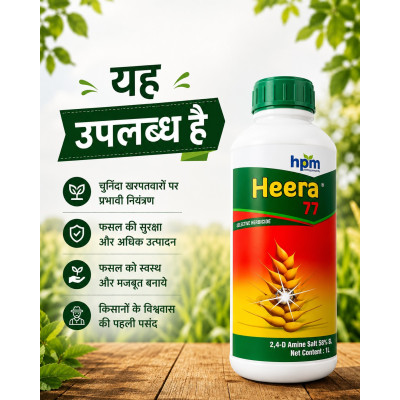 HEERA 77