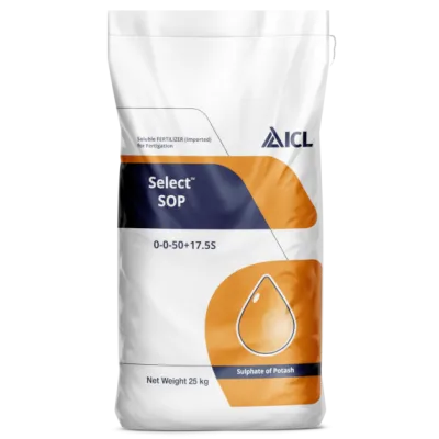 Select SOP 0-0-50+17.5S